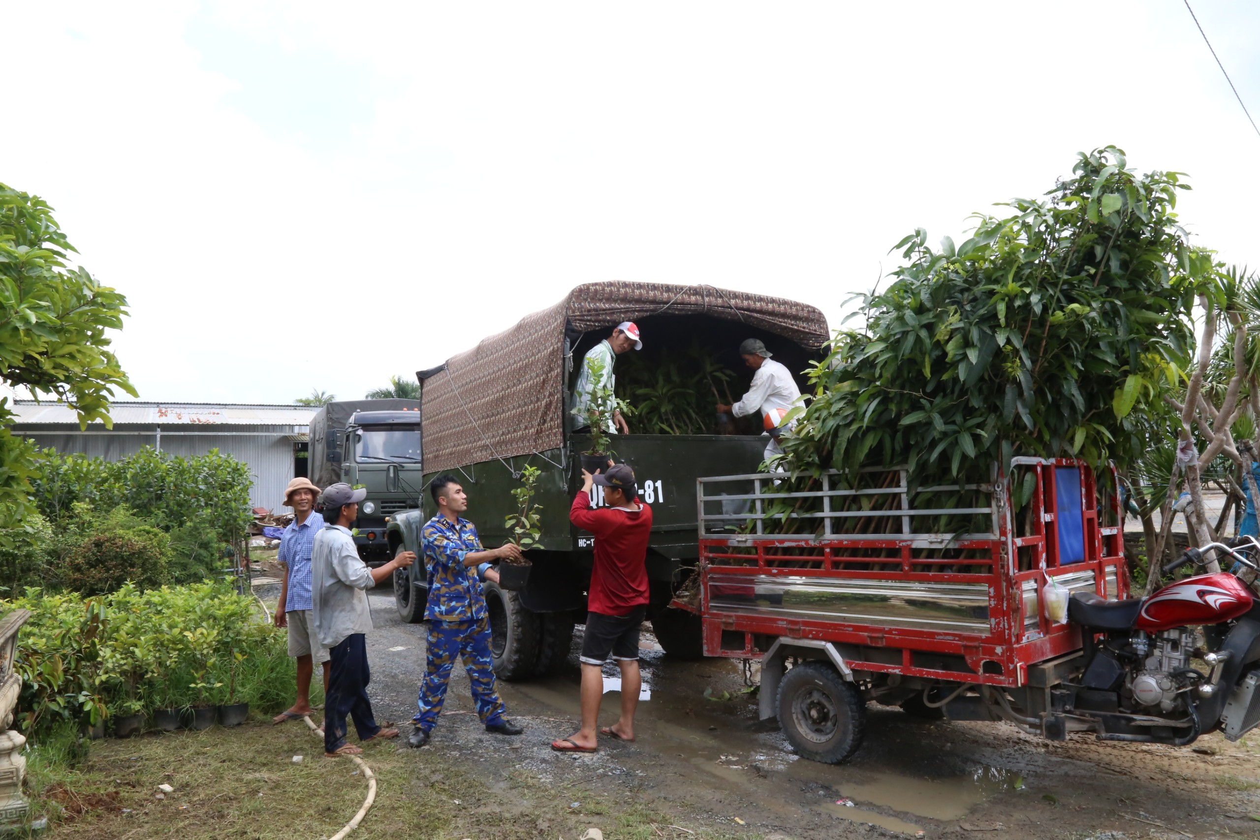 Vùng 4 Hải quân tiếp nhận 15.000 cây giống do tỉnh Bến Tre tài trợ